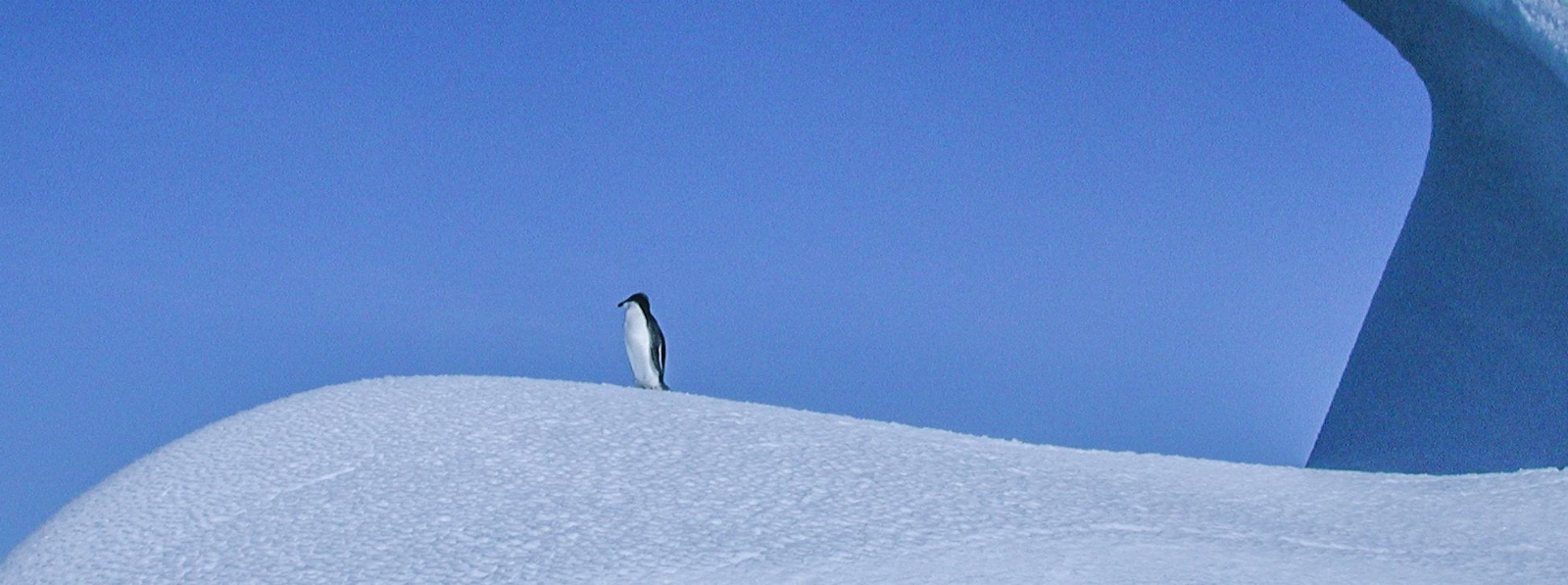 Header image background