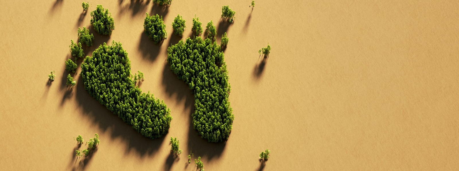 Header image background