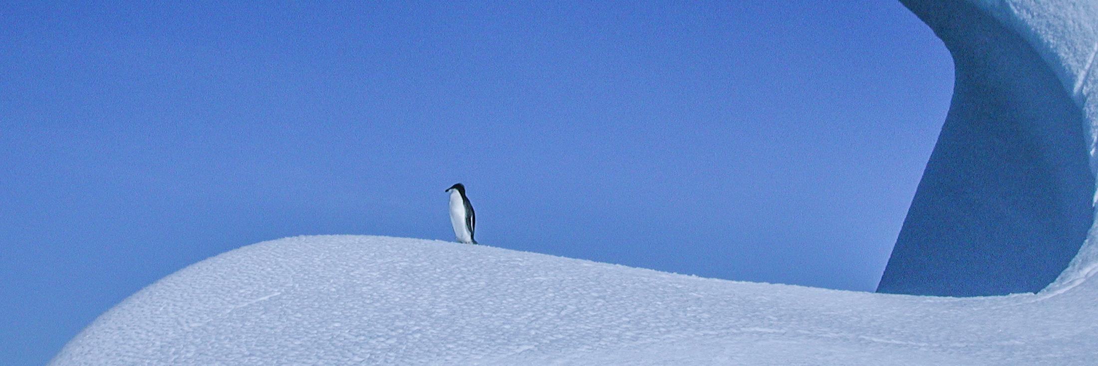 Header image background