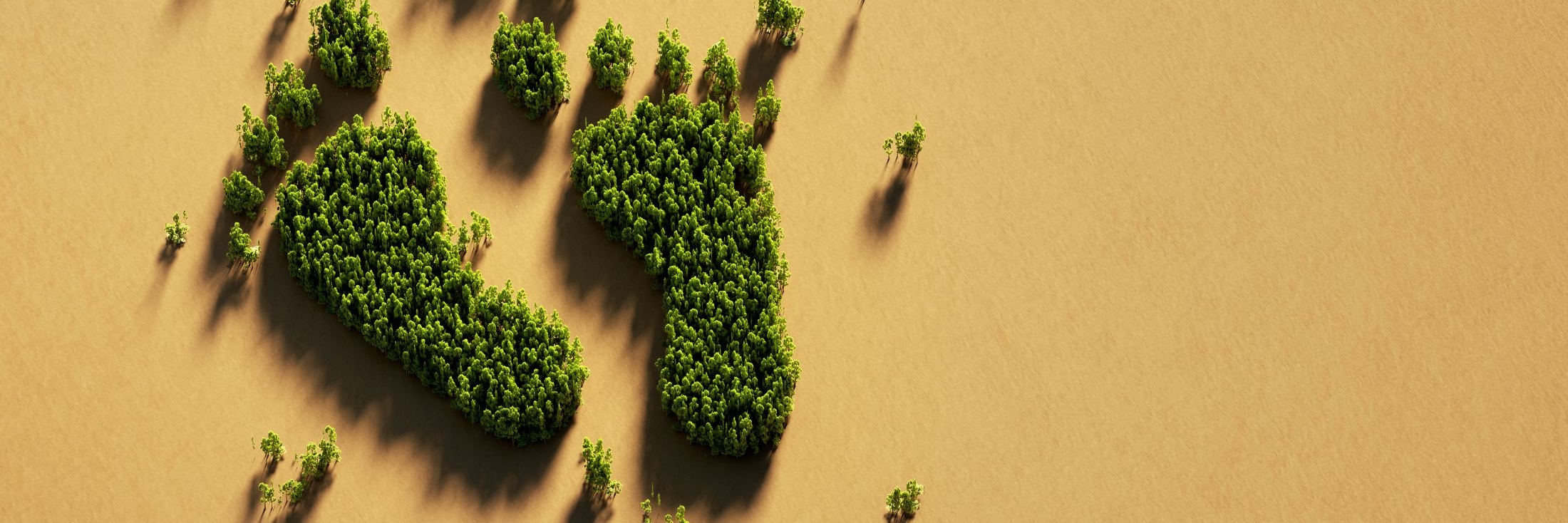 Header image background